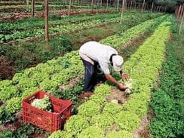 Ayudas A Inversiones En Transformacion Y Comercializacion De Productos Agrarios Y Forestales