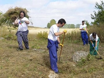 Ayudas A Jóvenes Agricultores Y Pequeñas Explotaciones Agrícolas