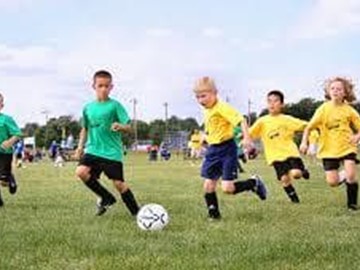 Ayudas De La Diputación De Pontevedra A Clubes Deportivos Federados